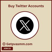 The Best Sites to Buy Old Twitter Accounts in the USA .. . logo