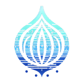 Onion2go - Own Darknet / Deepweb Website / Homepage logo