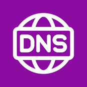 DNS Lookup