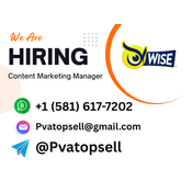 Buy Verified Wise Accounts logo