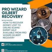 Unforgettable Experience with Pro Wizard Gilbert Recovery logo