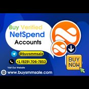 How to Verify Your NetSpend Accounts: A Complete Guide ... logo