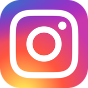 📱Instagram Story Downloader API logo