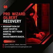 BITCOIN TO ONLINE SCAM HIRE PRO WIZARD GILBERT RECOVERY logo