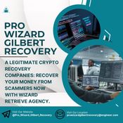 Discovering Pro Wizard Gilbert Recovery's Magic logo