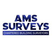 AMS SURVEYS logo