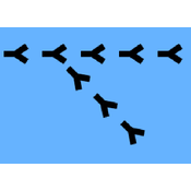 CHFUSD-FX-FACTOR-API logo