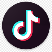 Tiktok Downloader logo