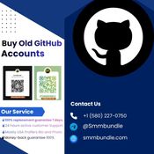 How to Buy Old GitHub Accounts for Developers logo