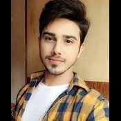 Walter Belin logo