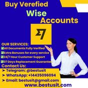 Buy Entirely Verified Wise Accounts [Business and Marketing] logo