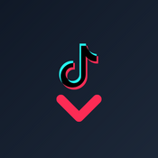 TikTok Video Downloader