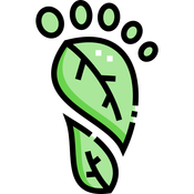 Carbon Footprint Information API